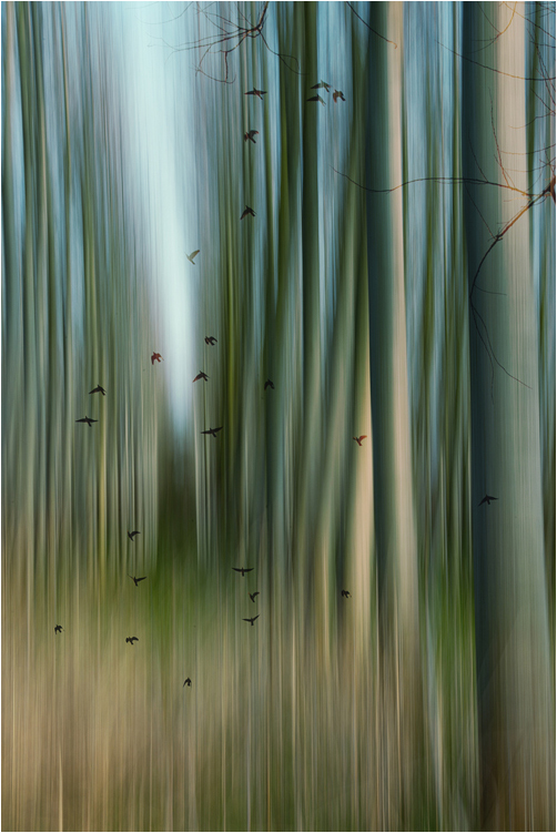 Tratteggi di un sogno...