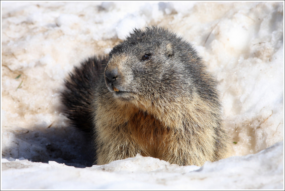Finalmente un po' di sole!