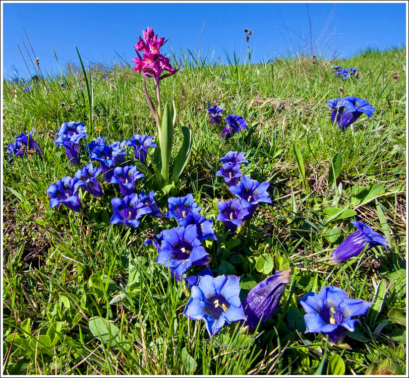 Primavera in Lessinia.