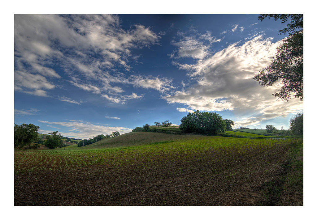 ...chiaro e scuro...