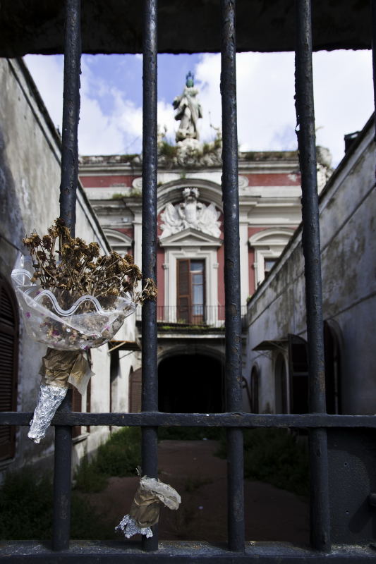 Fiori secchi come te