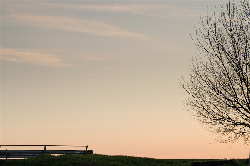 Note... ai margini di un silenzio.