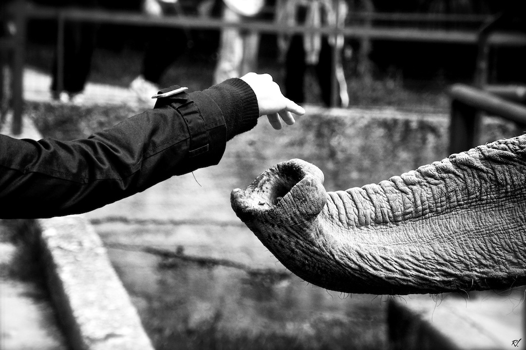 nascita di un amicizia