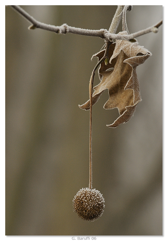 Minimalismo invernale