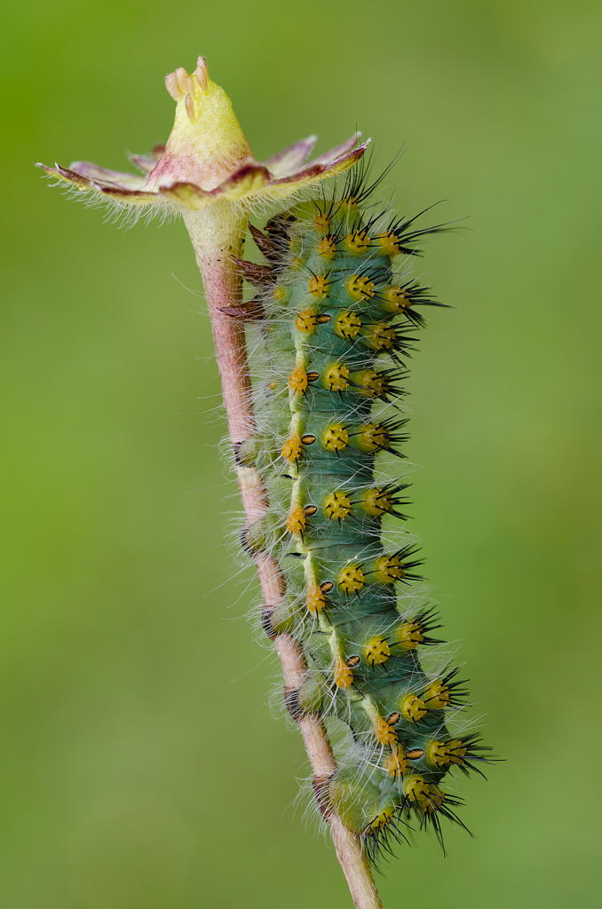 Meglio portare l'ombrello