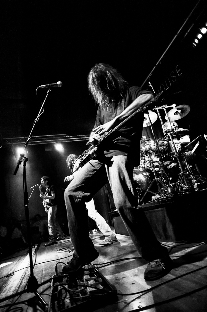 chitarrista van halen tribute