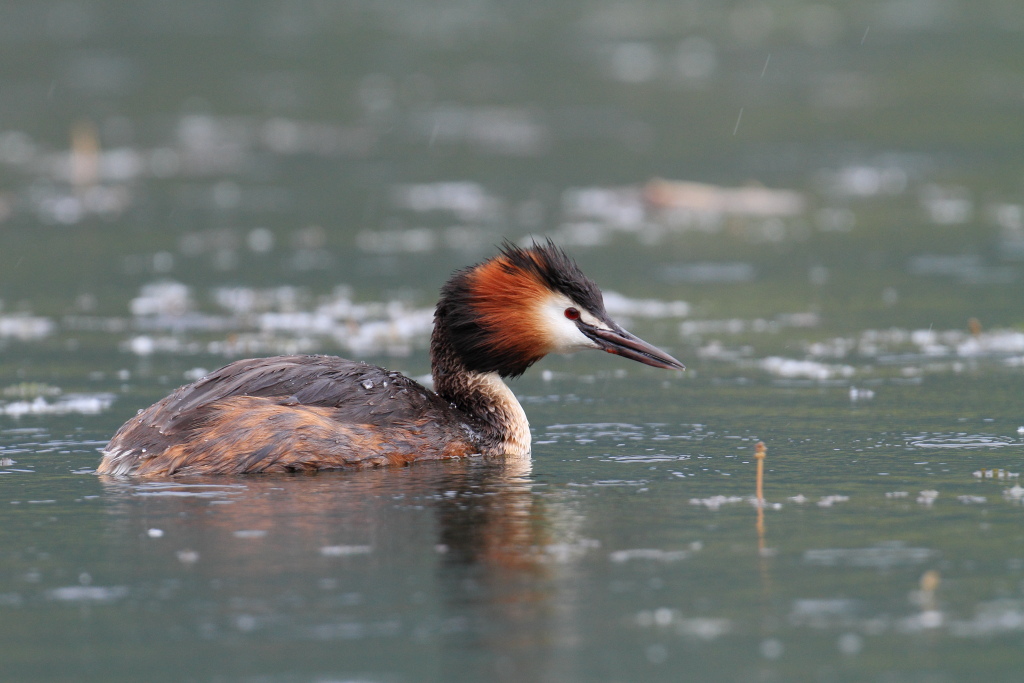 Ritratto sotto la pioggia
