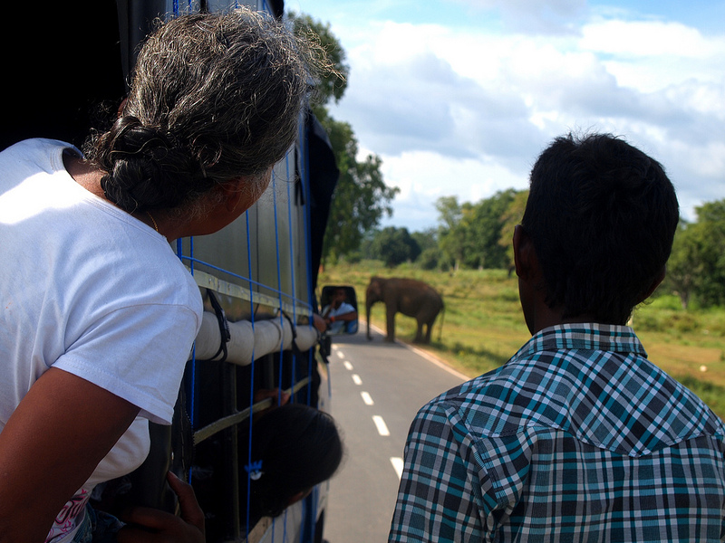 Strani momenti in Sri Lanka
