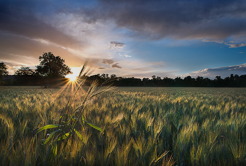 Semplicit� ed un filo di luce