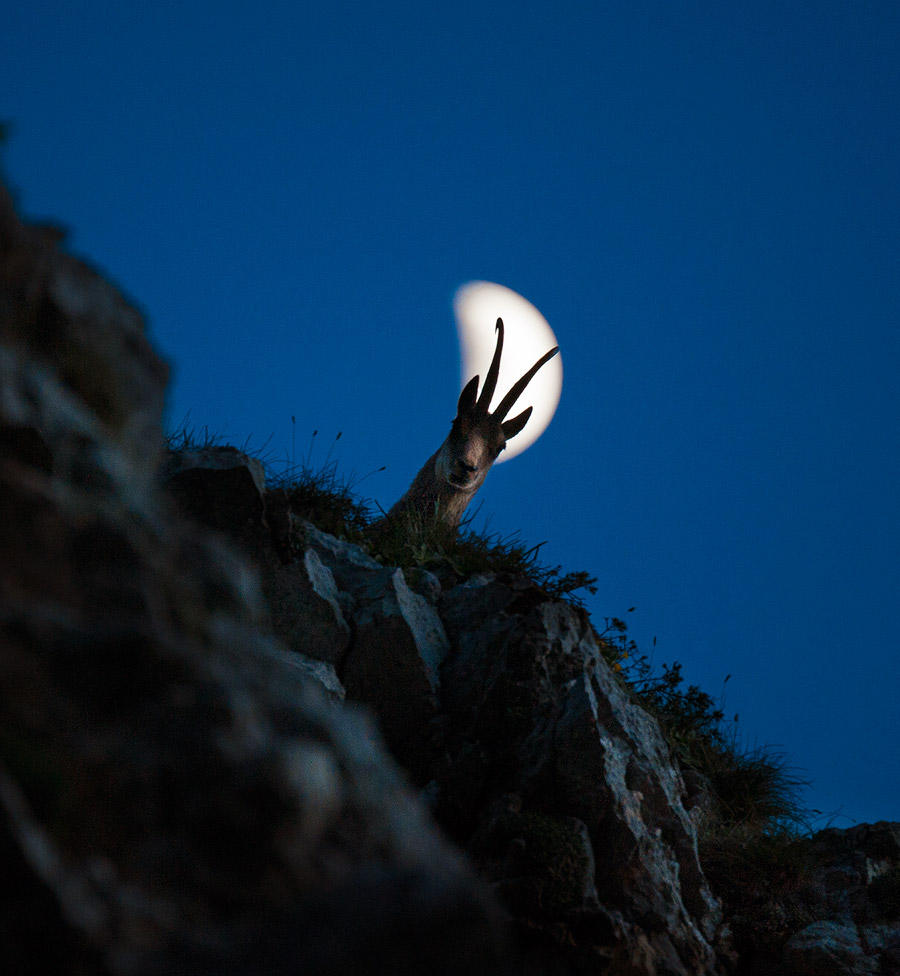 Inno alla luna - Parco Nazionale della Majella - Abruzzo