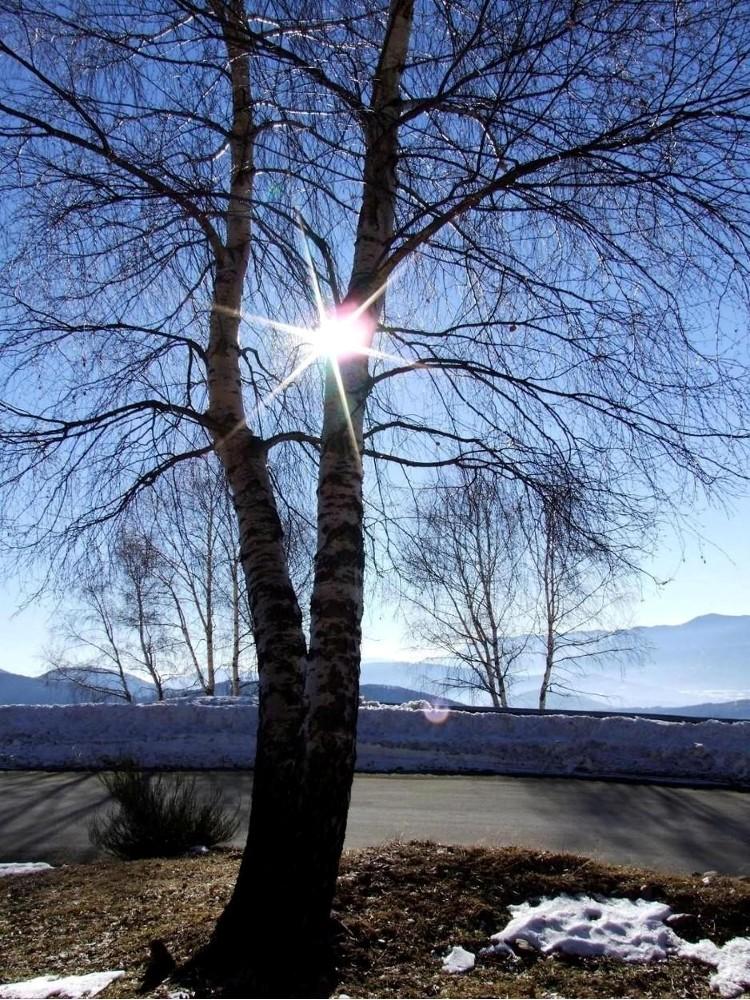 Il sole d'inverno