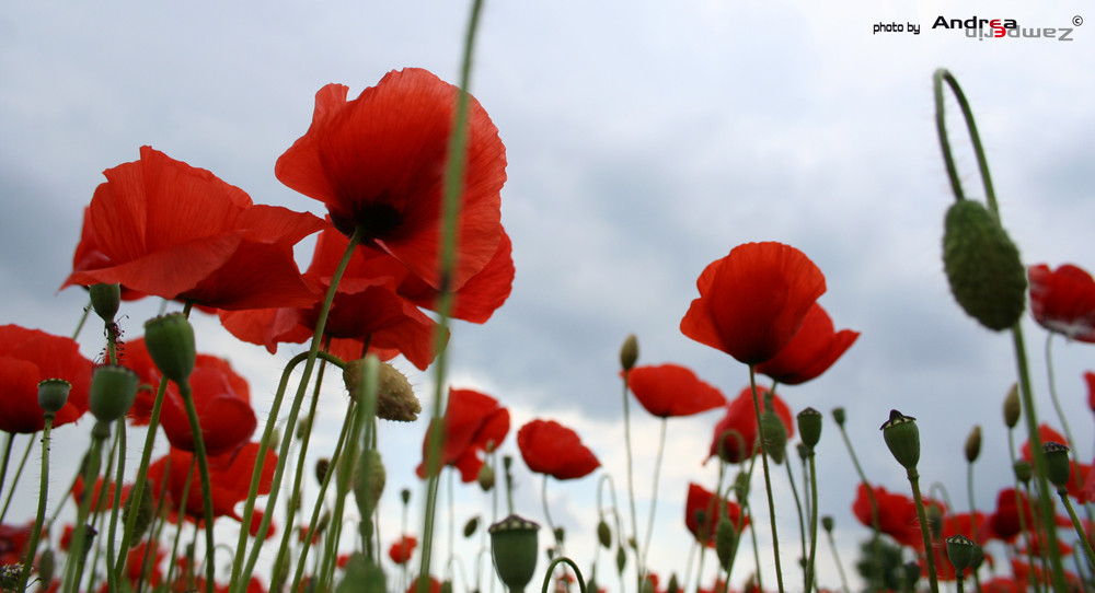 ...temporale in arrivo...