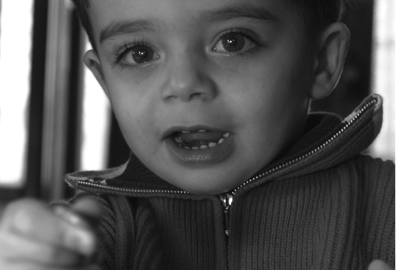 Nome in codice: ghittoni