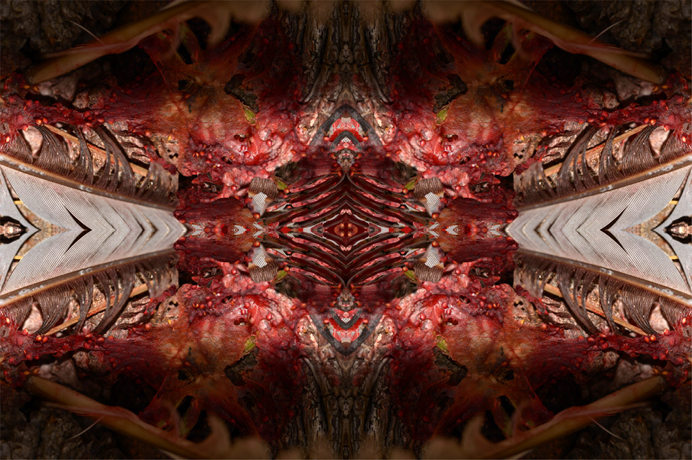 Penne fragole � 2013