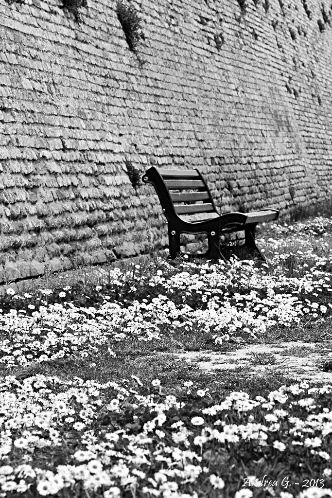 Aspettando Godot B/N