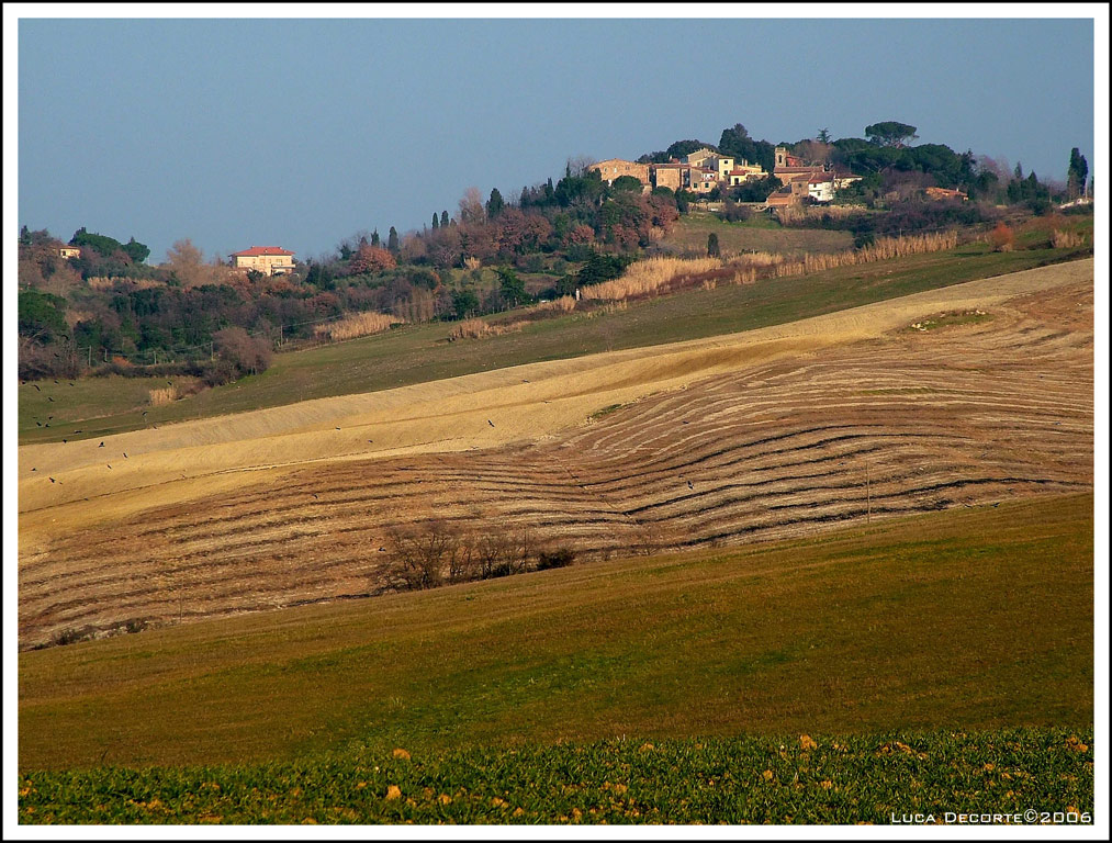 Colline pisane