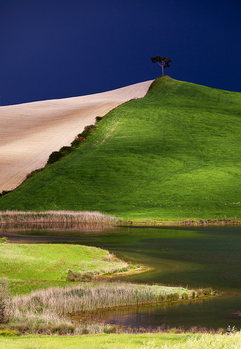 The hill, the tree and the little man