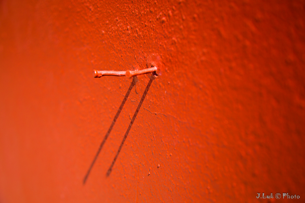 ... la solitudine dei numeri primi ...