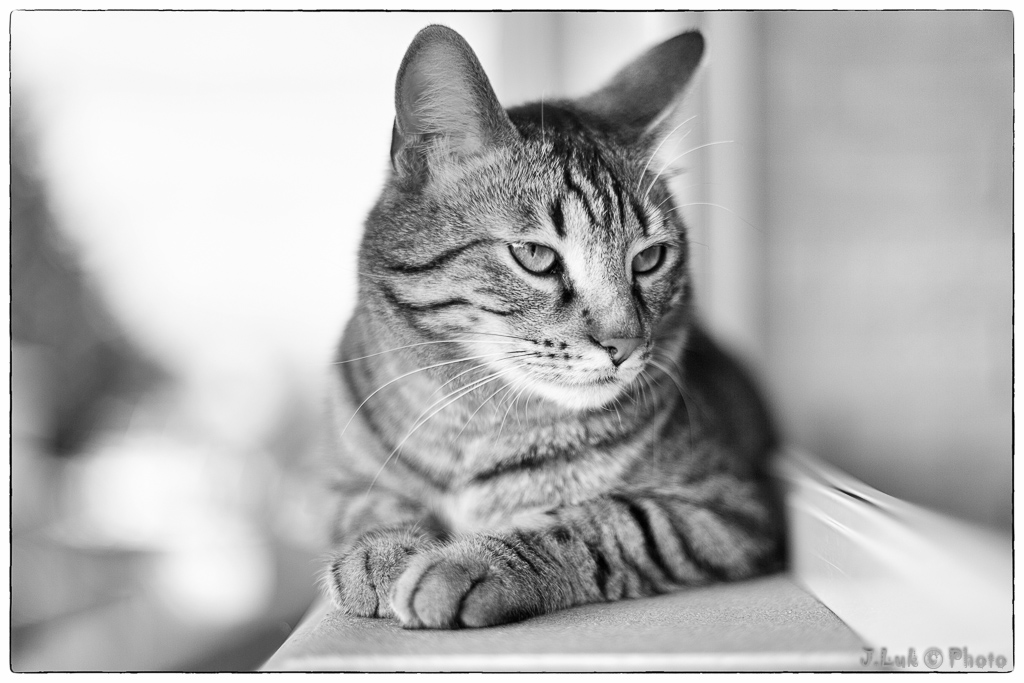 ... a te che sei ... semplicemente sei ...