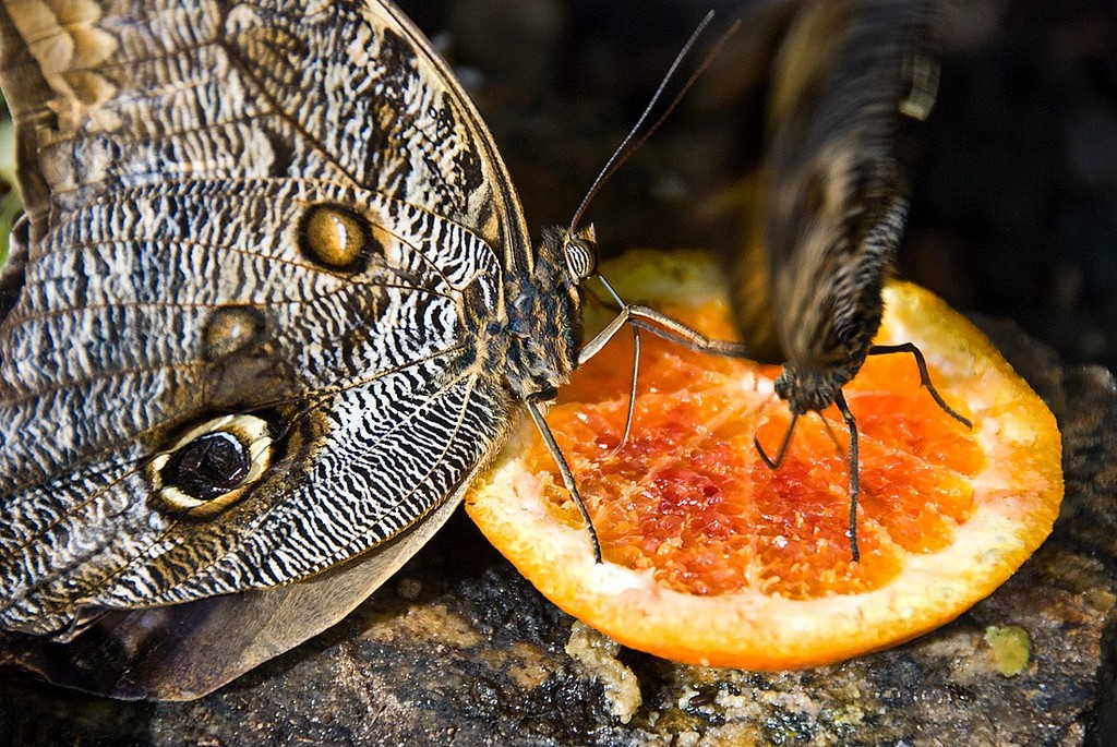 In lotta............