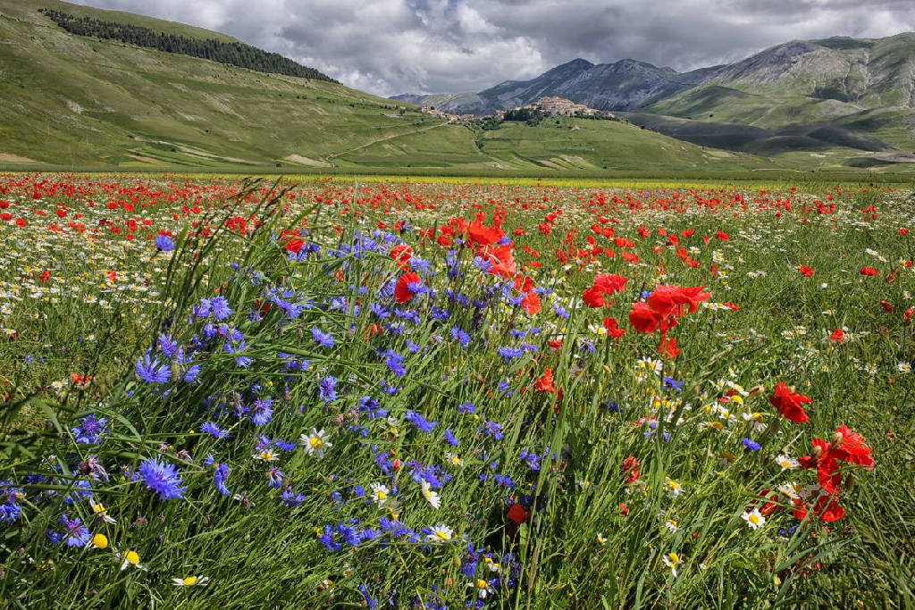 Impressionismo? beh.... Ho provato!