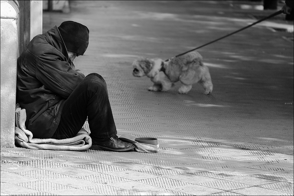 Solo...pi� di un cane