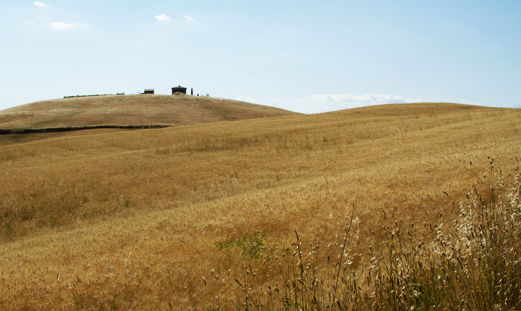 GPS 42�56.257' N, 11�28.256' E