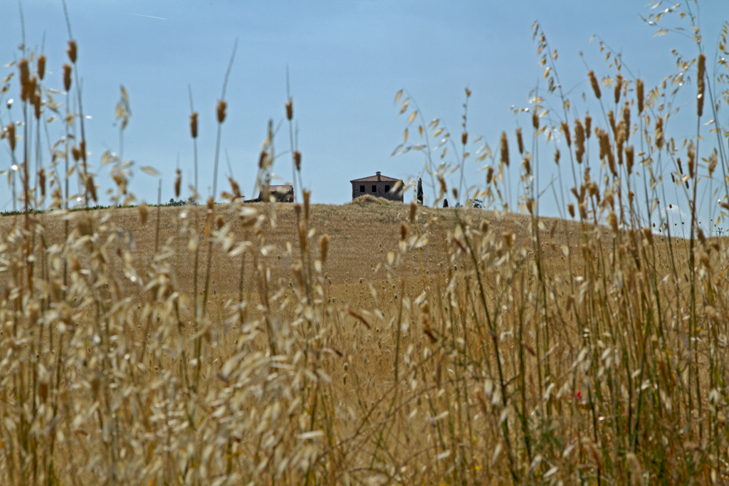 GPS 42� 56' 16.3'' N 11�28' 12.9'' E