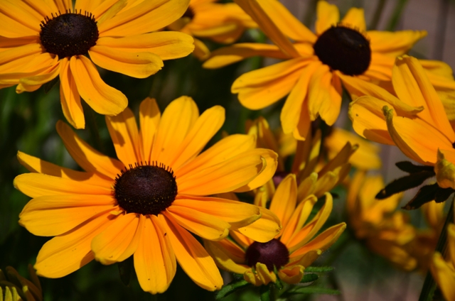 Esercizio di composizione..