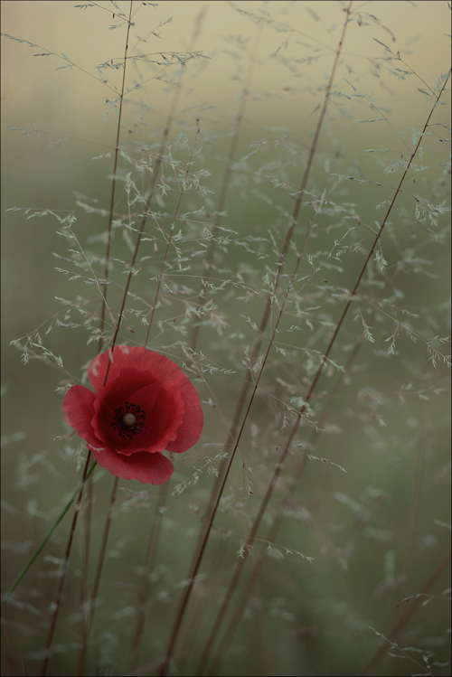 Un delicato affaccio...