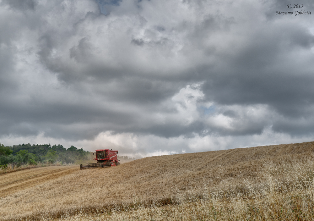 minaccia sul raccolto