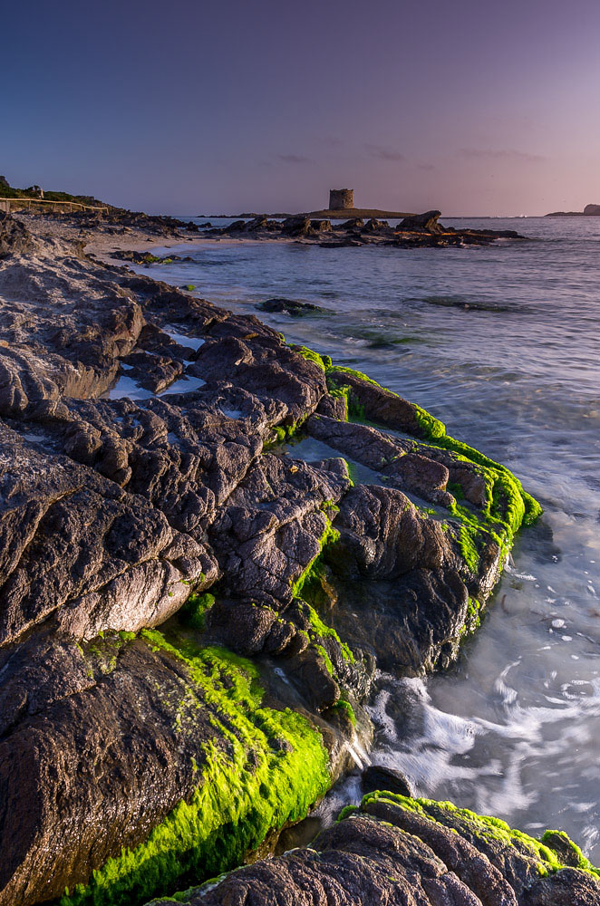 Stintino.La pelosa.Alba.