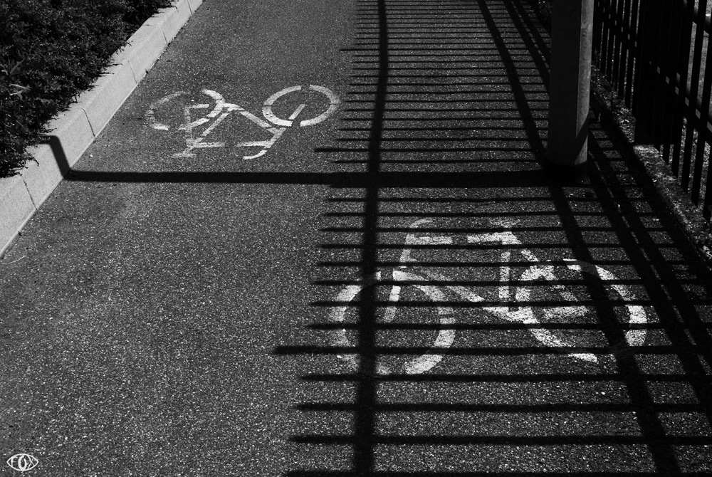 liberi di scegliere!!!!!!