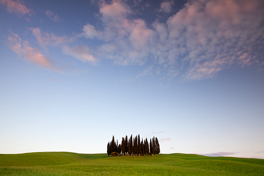 Quelli che i cipressi