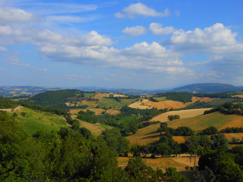 Campagna sanseverinate