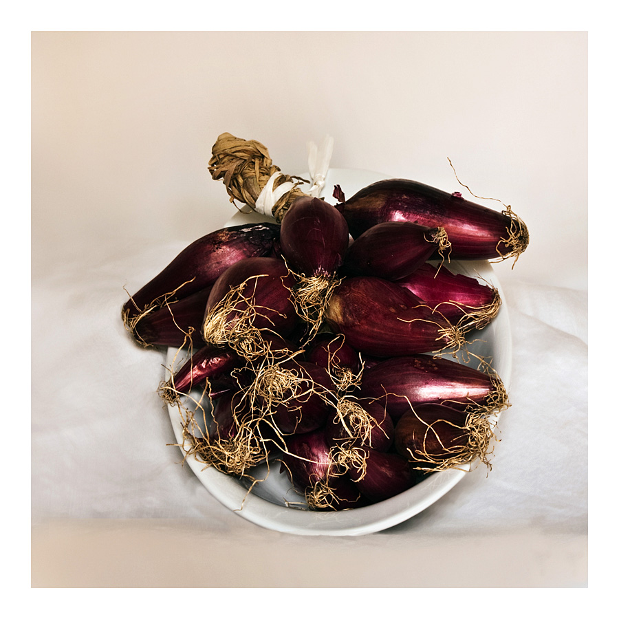 decreto del fare....