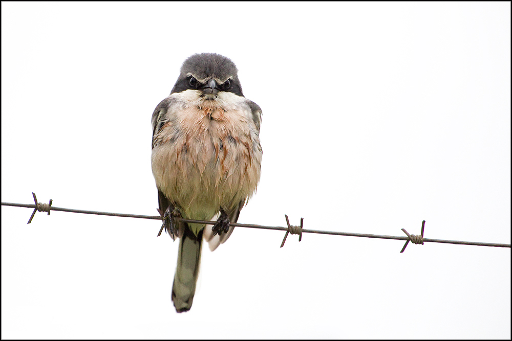 No photo, please !!!!!!