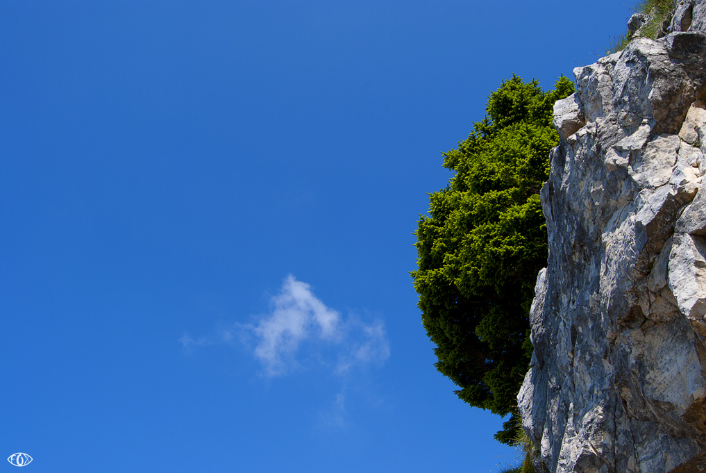 massa,volume e densit� diverse