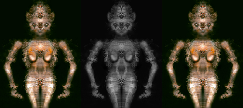 Nuove Gattine � 2013