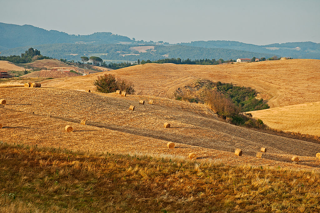 L'ora d'oro - Tuscany