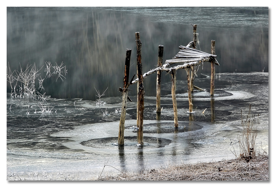 Una matina in ghiaccio