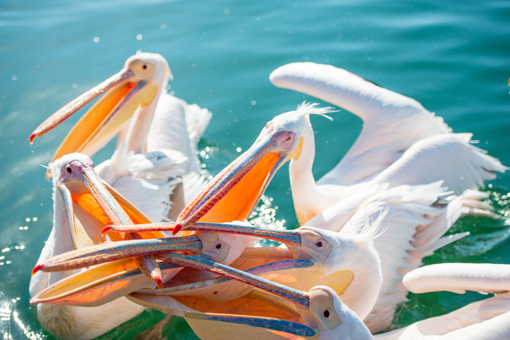 Uno per tutti, tutti per uno...