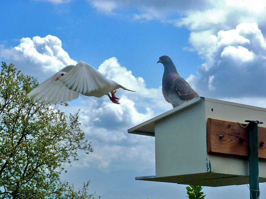 ci vediamo stasera caro!