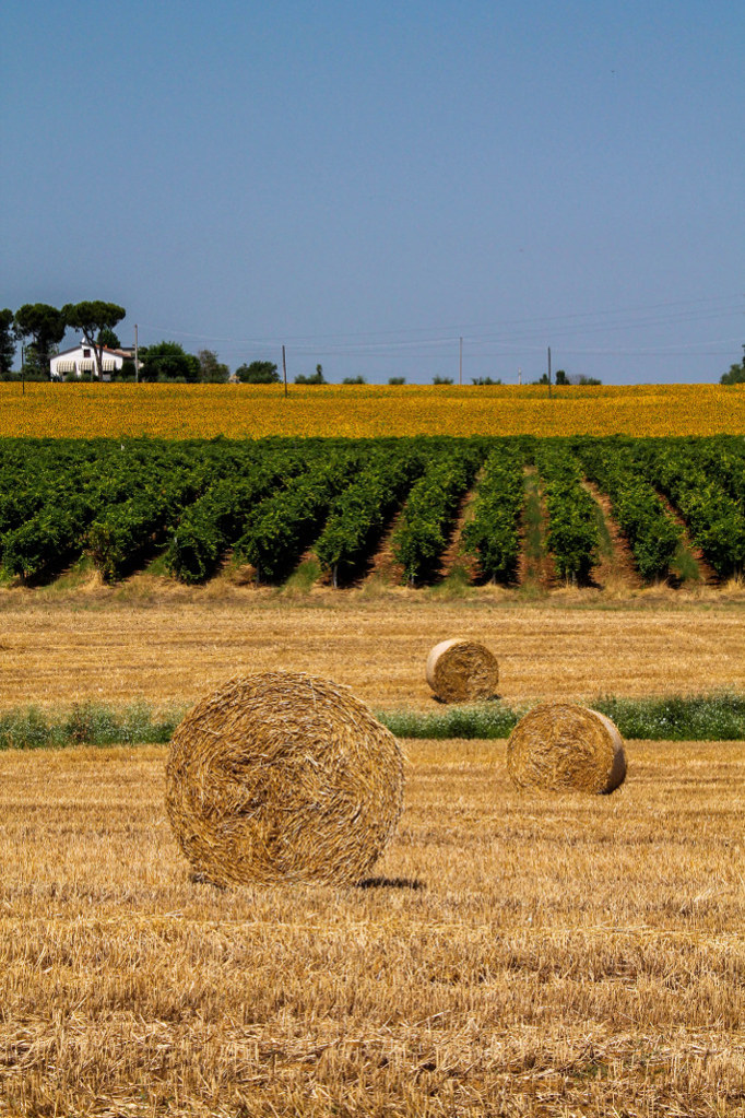 Policromie in campagna