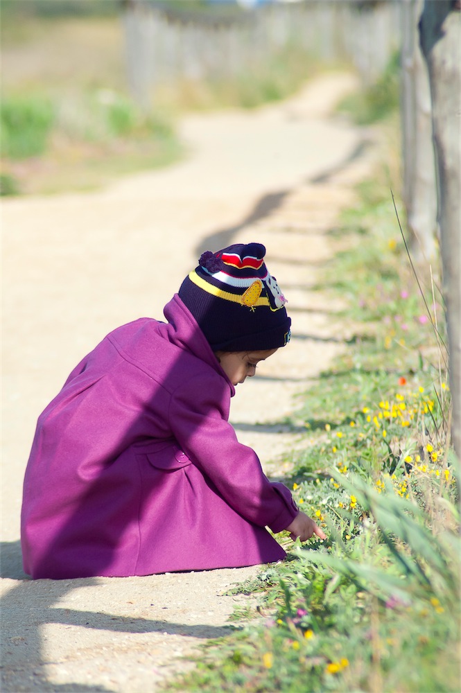 Primaverile Scoperta