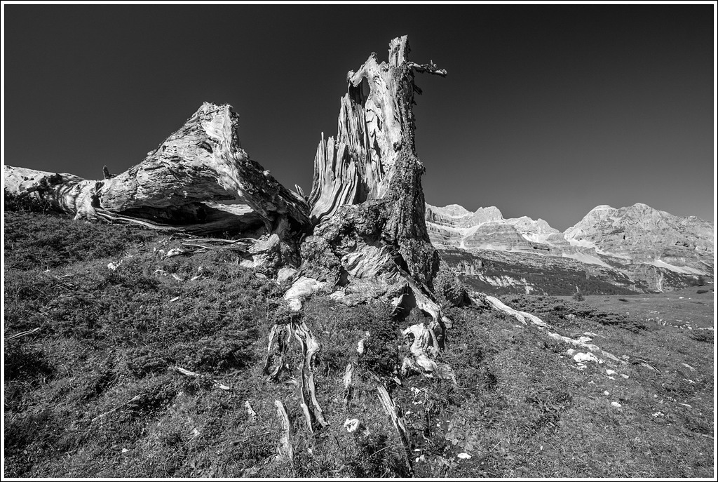 Testimone del tempo.