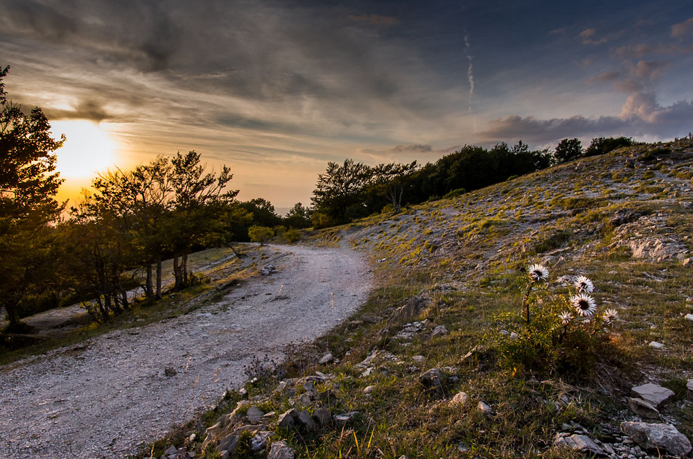 Colle Bertone,Umbria