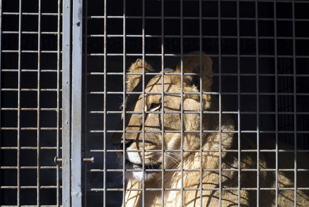 La vita � una gran fregatura