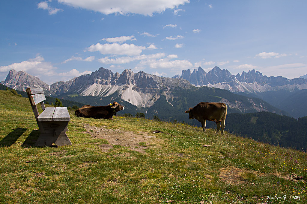 posto in prima fila...