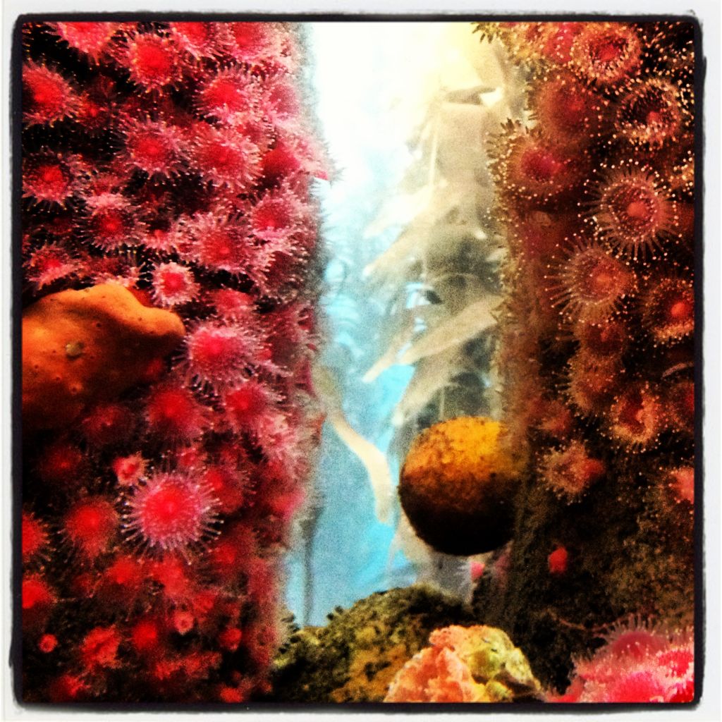 Aquarium